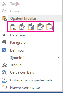 Gruppo delle cinque opzioni per incollare grafici di Excel in Word