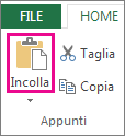 Comando incolla nel gruppo Appunti
