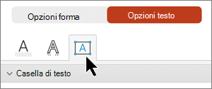 Casella di testo della scheda Opzioni testo selezionata.