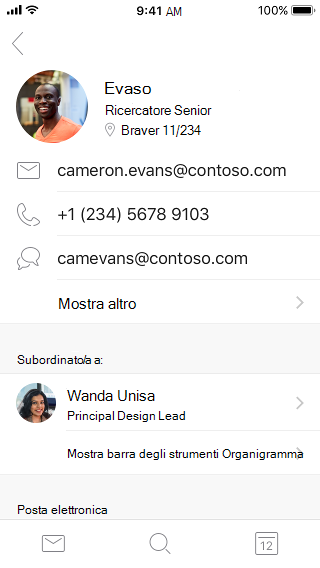Esempi di schede contatto con informazioni contatto e altre informazioni