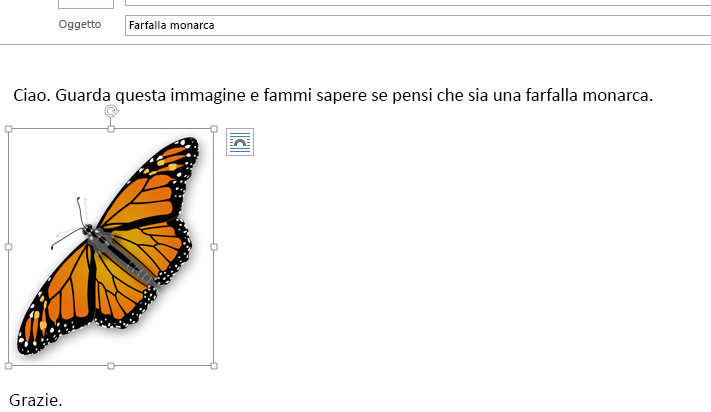 L'immagine è stata inserita nel messaggio.