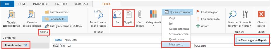 Esempio di opzioni degli strumenti di ricerca