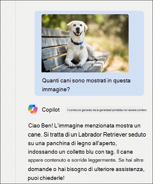 Screenshot di Copilot. Un'immagine di un cane è stata incollata insieme al prompt Quanti cani sono mostrati in questa immagine? Copilot ha risposto in modo accurato e ha fornito una descrizione aggiuntiva dell'immagine.