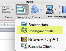 Nella scheda Home della barra multifunzione, in Inserisci, fare clic su Immagine > da file.
