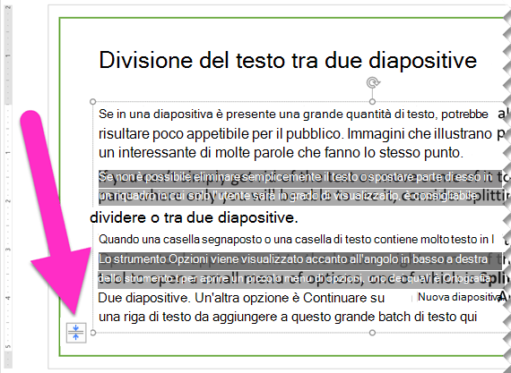 Lo strumento Opzioni adatta viene visualizzato nell'angolo inferiore sinistro della casella segnaposto