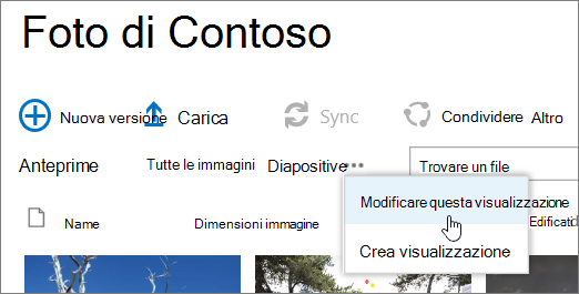 Barra di visualizzazione della raccolta immagini con l'opzione Modifica visualizzazione selezionata