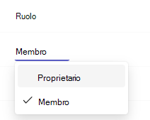 Screenshot che mostra il proprietario.