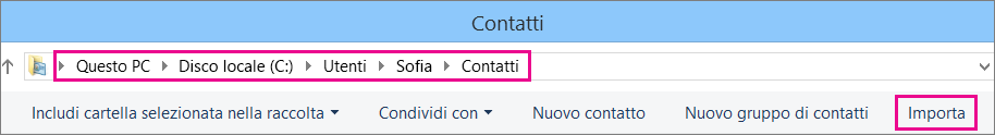 Passare alla cartella Contatti, quindi scegliere Importa.