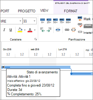 percentuale di completamento dell'attività visualizzata sulla barra