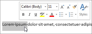 Barra di formattazione rapida con testo selezionato