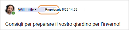 Screenshot che mostra i badge dei proprietari della community in Teams (versione gratuita).