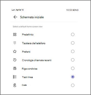 Menu per selezionare la visualizzazione predefinita della schermata iniziale, con i tasti linea attualmente selezionati.