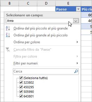 Menu Filtro, menu Valore visualizzato, campi dei tipi di dati collegati