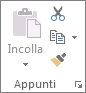 Gruppo Appunti nella scheda Home