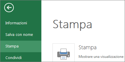 Stampa celle selezionate