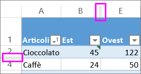 Le linee doppie tra righe e colonne indicano la presenza di righe o colonne nascoste