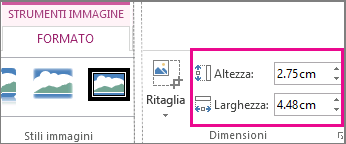 Caselle Altezza e Larghezza nella scheda Strumenti immagine - Formato