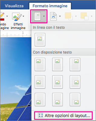 Opzioni Posizione e Altre opzioni di layout evidenziate nella scheda Formato immagine.