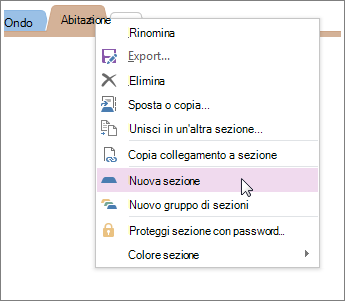 Aggiungere una nuova sezione in OneNote.