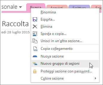 Screenshot che illustra come creare un nuovo gruppo di sezioni in OneNote 2016.