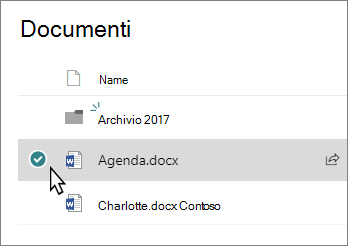 Screenshot di una raccolta con un file selezionato