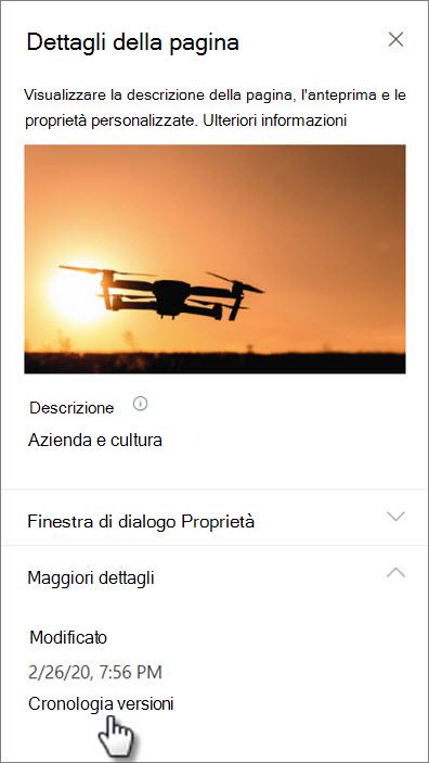 Screenshot del collegamento cronologia versioni nei dettagli della pagina