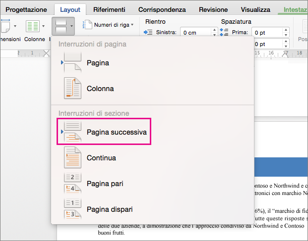 Fare clic su Pagina successiva per inserire un'interruzione di sezione in modo che il testo che la segue inizi nella pagina successiva.