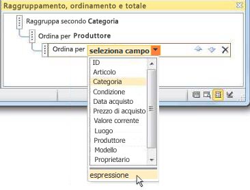 Scelta dell'opzione di espressione nel riquadro Raggruppa, Ordina e Totale