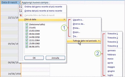 Applicazione del filtro a un campo di tipo Data
