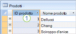 Immagine che illustra la tabella Prodotti con il campo chiave primaria.