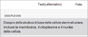 Finestra di dialogo Testo alternativo per le immagini in OneNote per iOS.