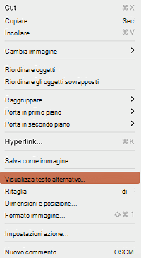 Opzione Visualizza testo alternativo nel menu di scelta rapida in PowerPoint per Mac.