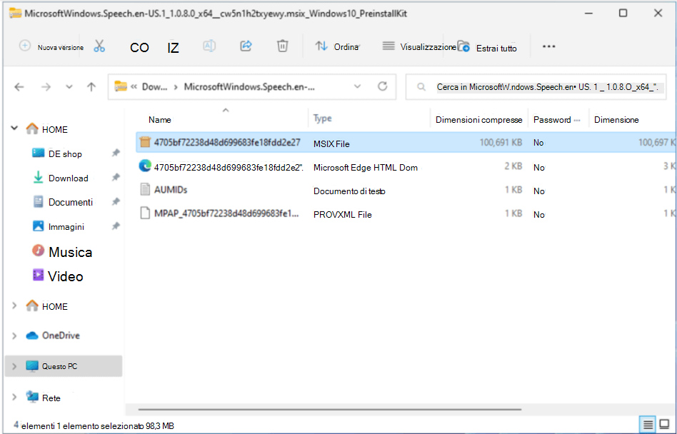 File MSIX selezionato nella cartella compressa