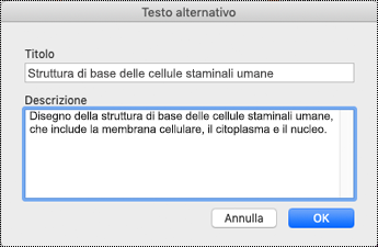 Finestra di dialogo Testo alternativo per OneNote su Mac.