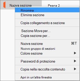 Menu di scelta rapida Sezione con Rinomina sezione evidenziato.