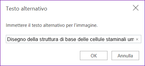 Finestra di dialogo Testo alternativo per OneNote per il web