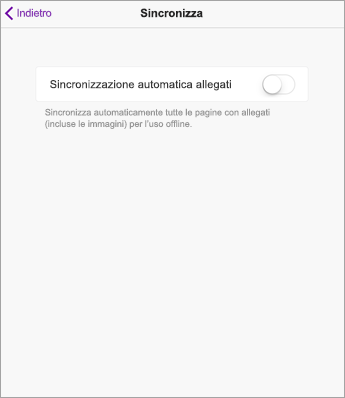 Disattivare la sincronizzazione automatica nelle impostazioni di OneNote per iPad.