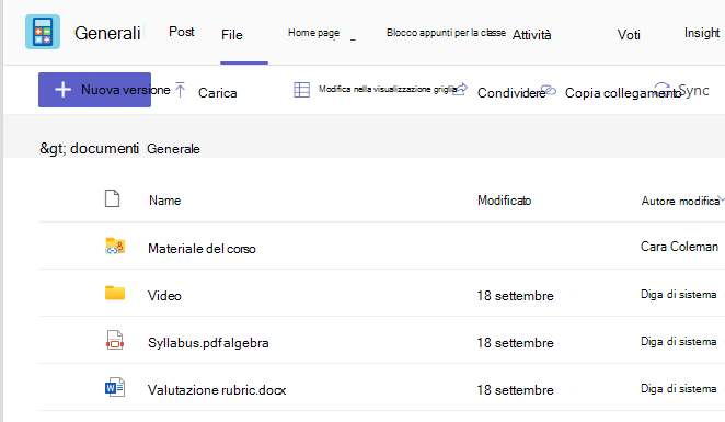 Screenshot che mostra Files scheda che mostra il materiale del corso e i file condivisi.
