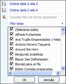 Filtro automatico