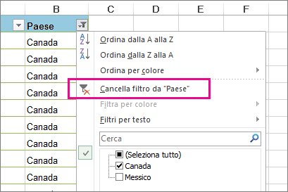 Pulsante Cancella filtro da