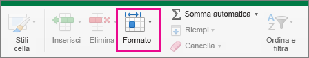 Opzione Formato evidenziata nella scheda Home