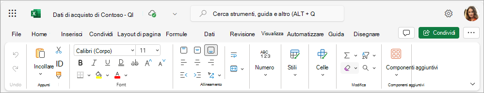Screenshot che mostra la visualizzazione dell'intera scheda in Excel.