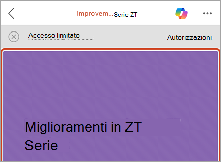 Screenshot di un business bar con un messaggio di accesso limitato e il pulsante Autorizzazioni.