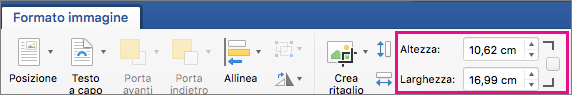 Scheda Formato immagine con le caselle Altezza e Larghezza evidenziate.