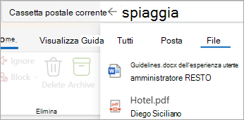 Selezionare Files per visualizzare i risultati della ricerca solo con allegati.