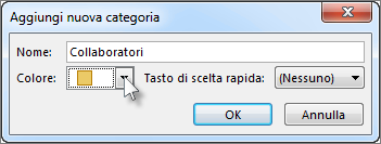 Digitare un nome per la categoria e selezionare un colore.
