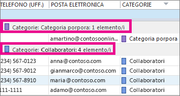 Fare clic sull'intestazione della colonna Categorie per ordinare l'elenco in base al colore.