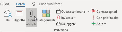 Ricerca di allegati