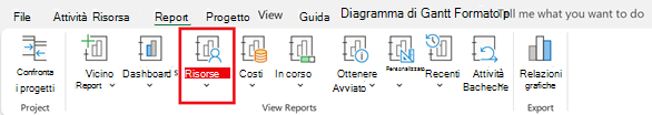 Pulsante Risorse nella scheda Report