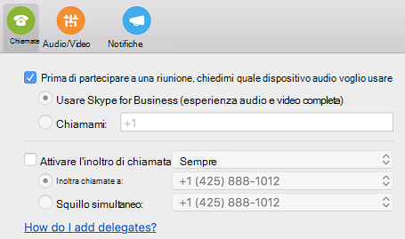 Ricerca per categorie aggiungere delegati? collegamento alla Guida nella pagina Chiamate della finestra di dialogo Preferenze